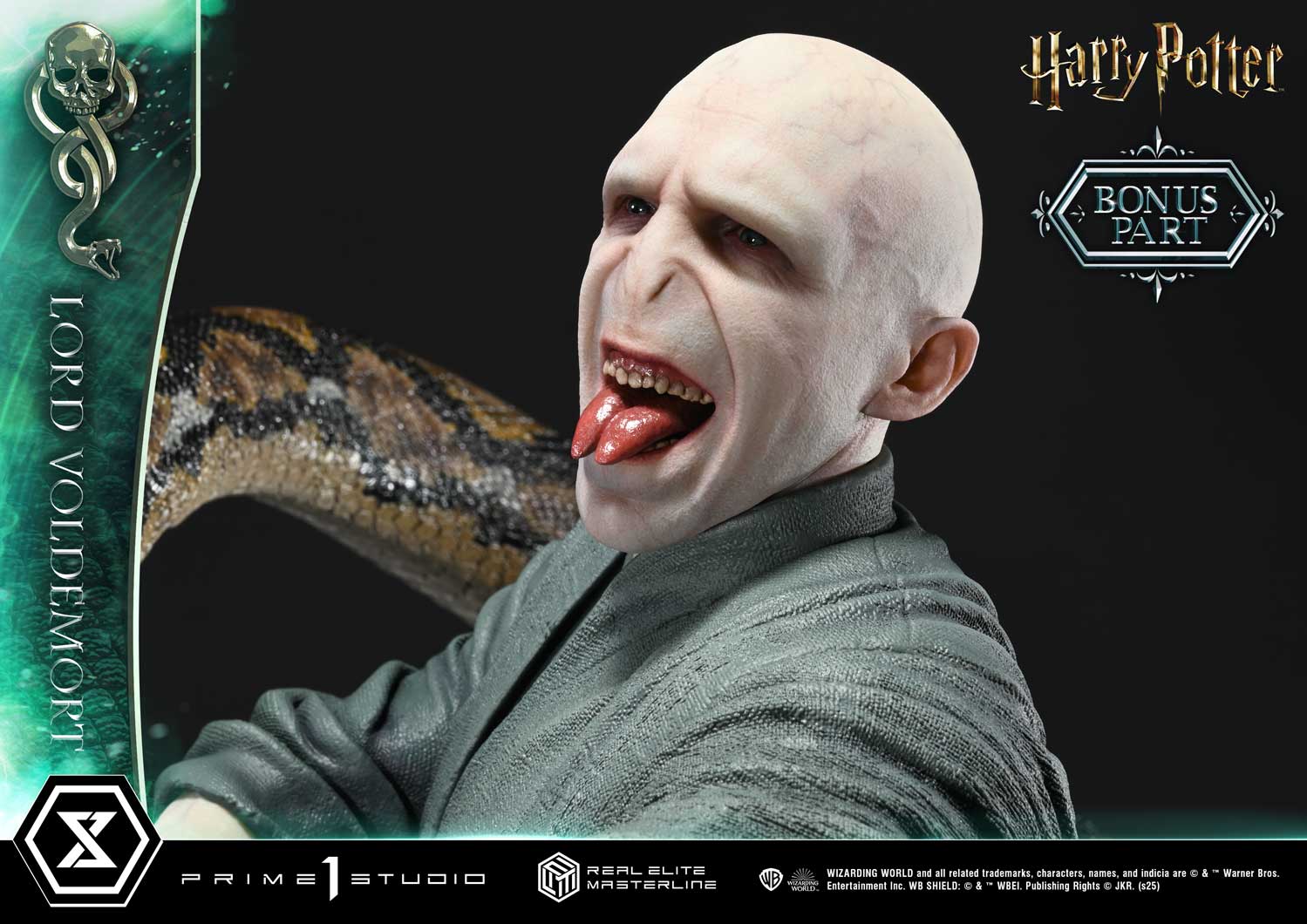 Lord Voldemort image 9