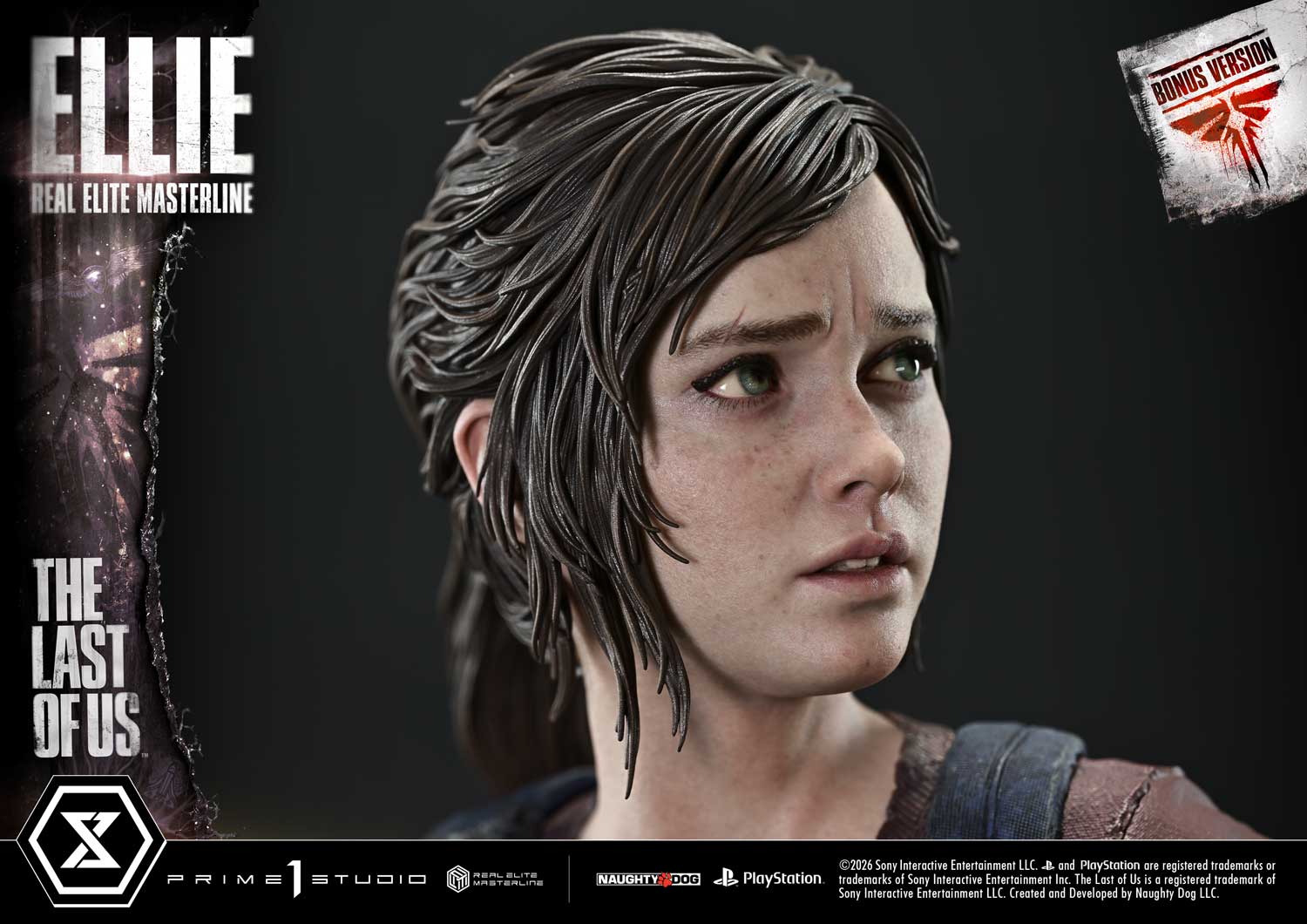 PartI Ellie image 6