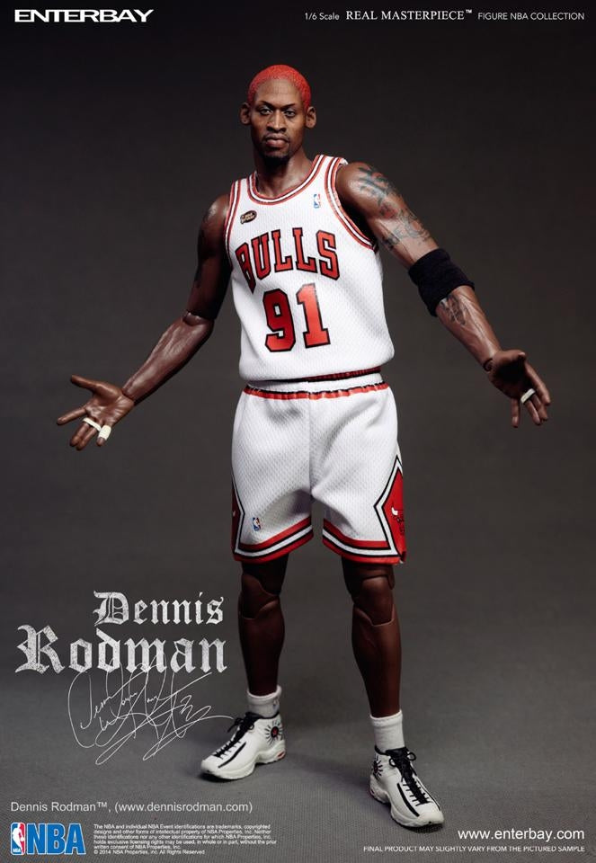 [PO] - - - Dennis Rodman image 6