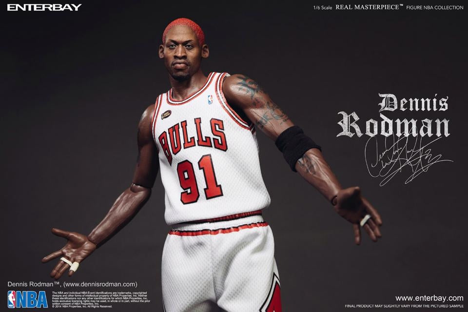[PO] - - - Dennis Rodman image 9