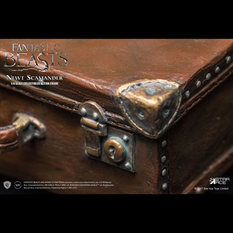 Newt Scamander image 3