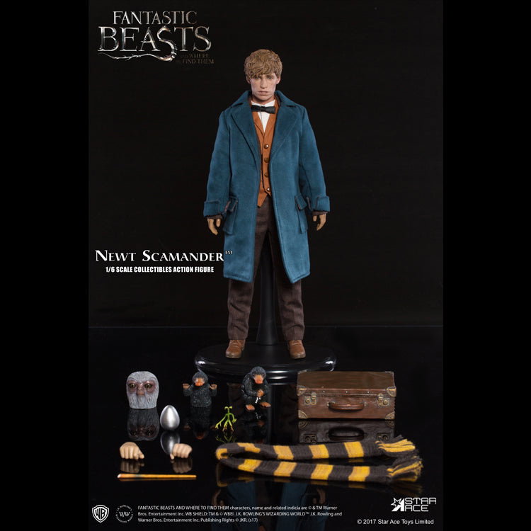 Newt Scamander image 4