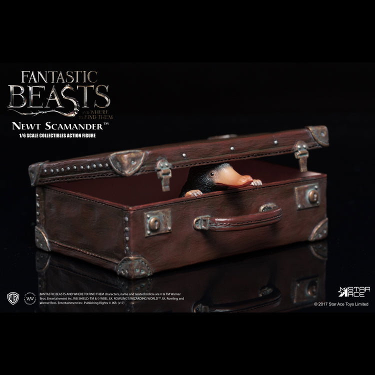 Newt Scamander image 5