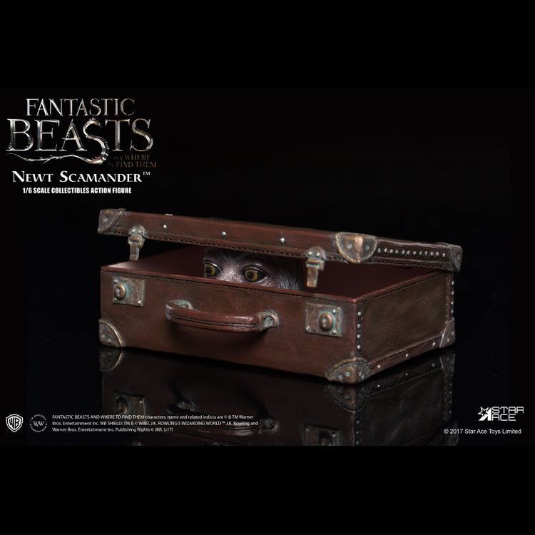 Newt Scamander image 6