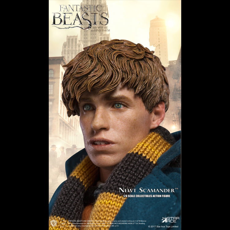 Newt Scamander image 7