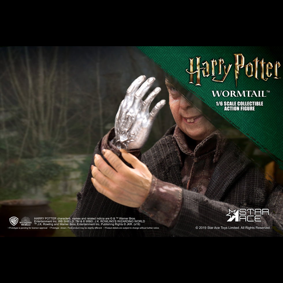 Peter Pettigrew DX image 3
