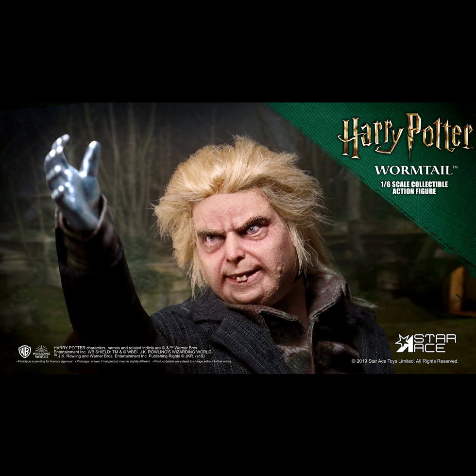 Peter Pettigrew DX image 4