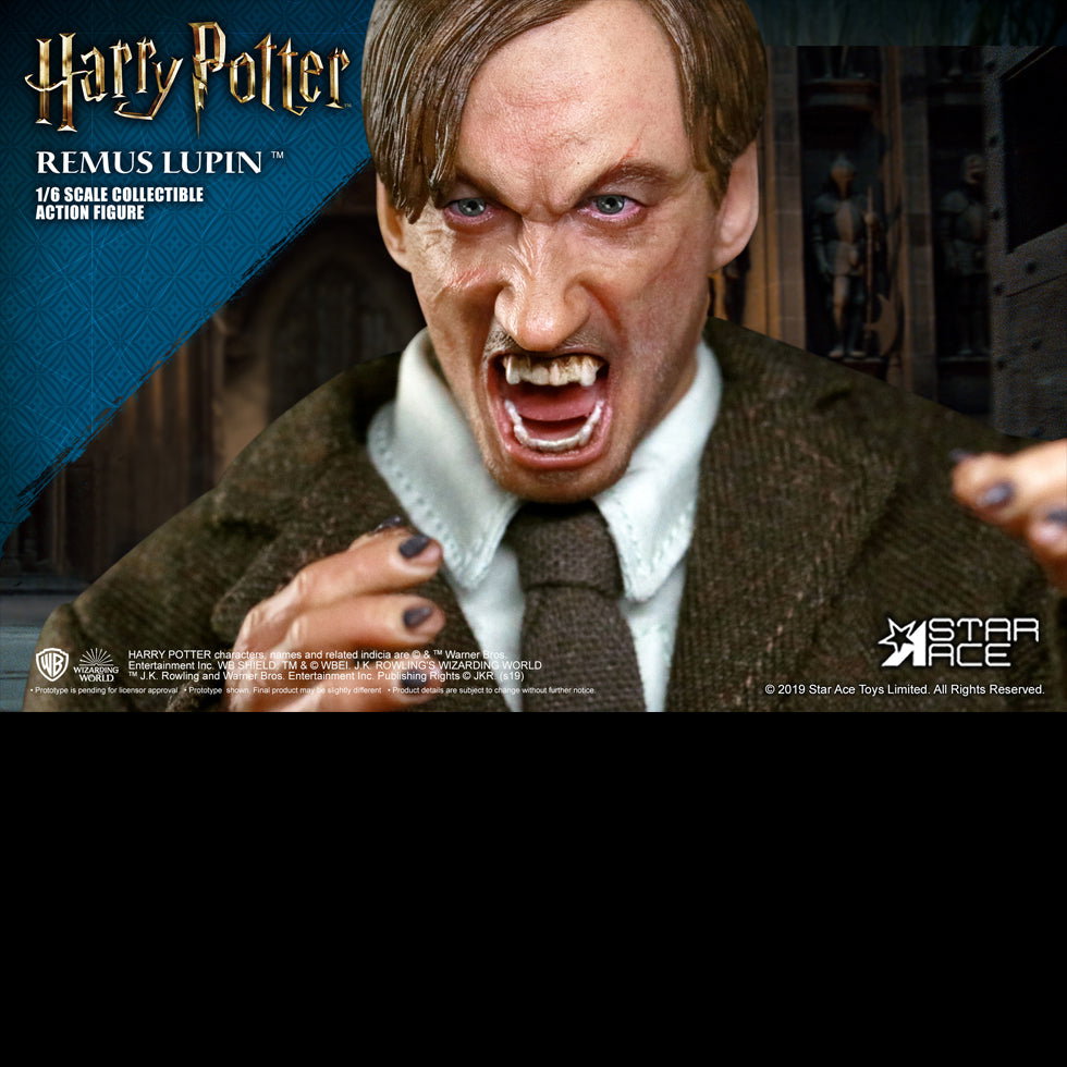 Remus Lupin DX image 2