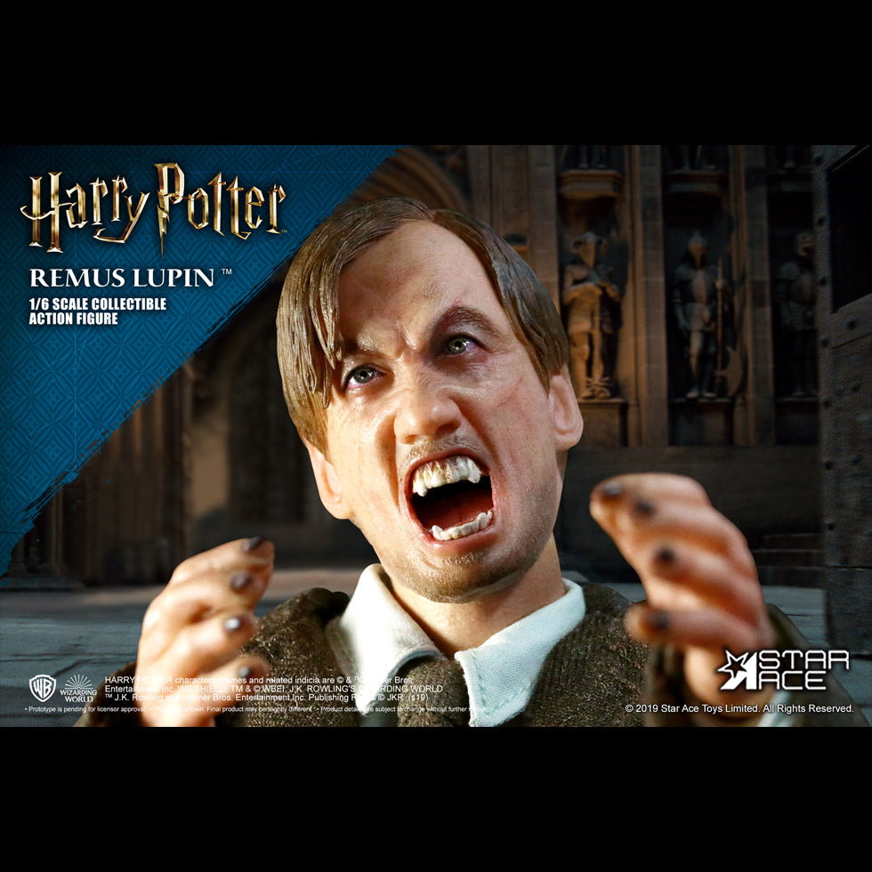 Remus Lupin DX image 3
