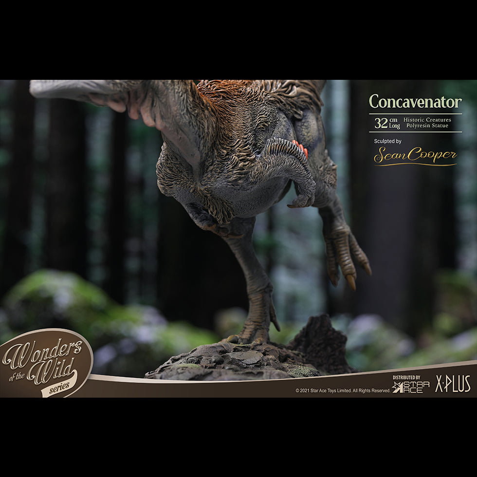 Concavenator (DX Ver) with Fossil image 3