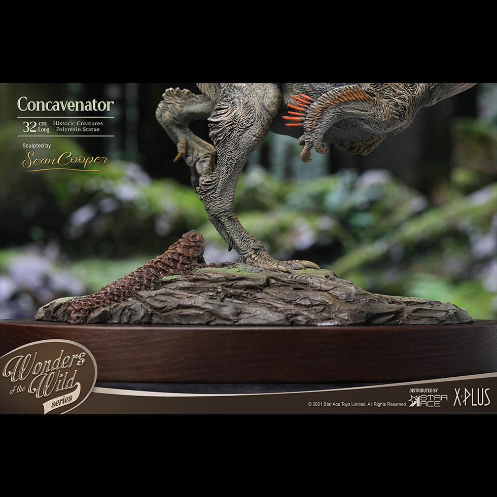 Concavenator (DX Ver) with Fossil image 4