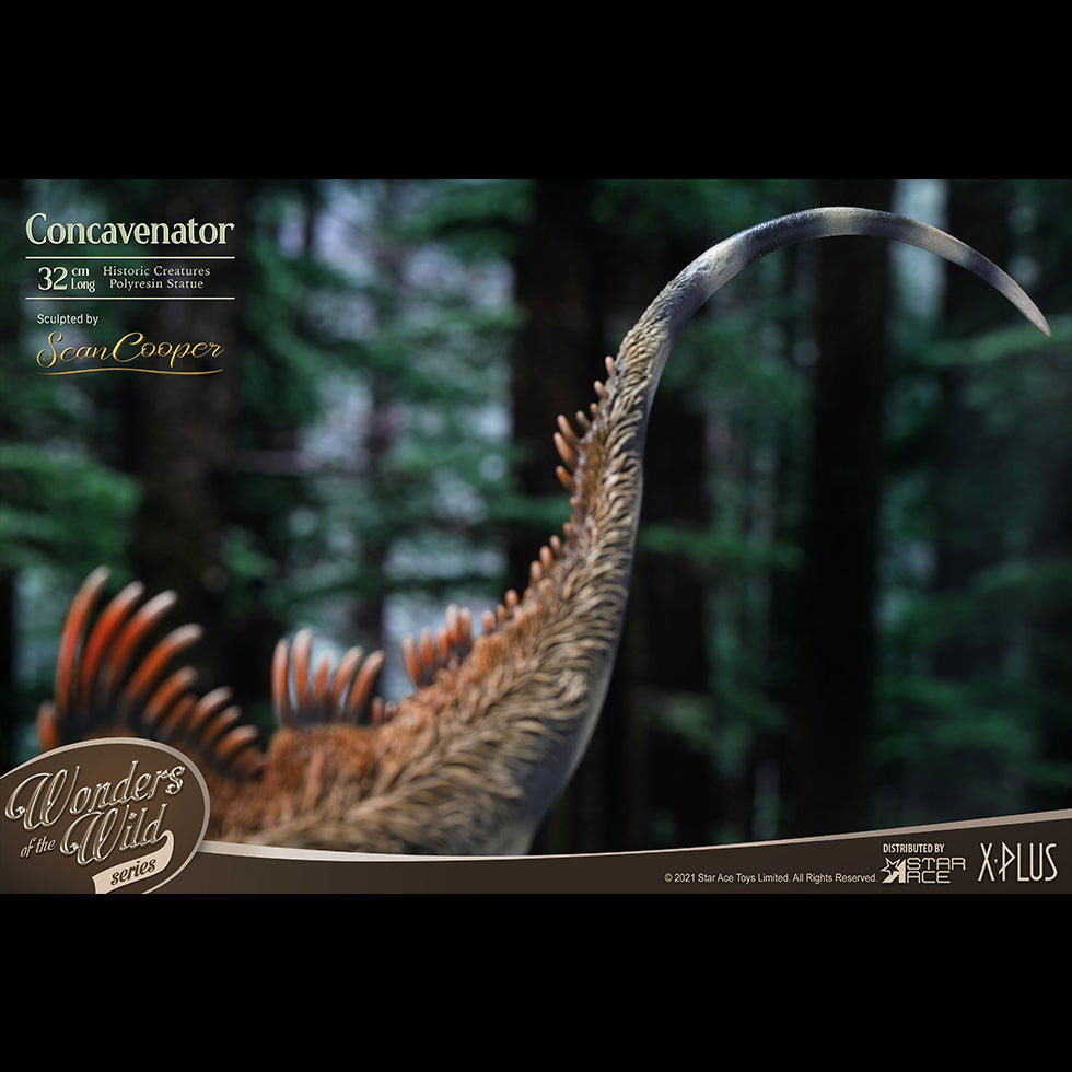 Concavenator (DX Ver) with Fossil image 6