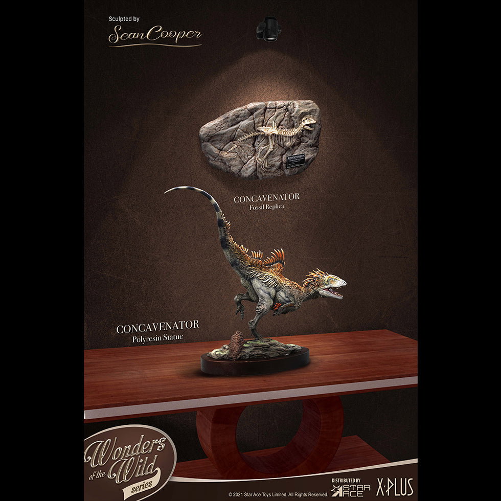 Concavenator (Fossil) image 1