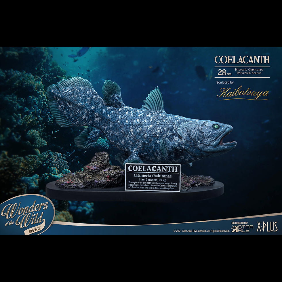 Coelacanth (NX Ver) image 2