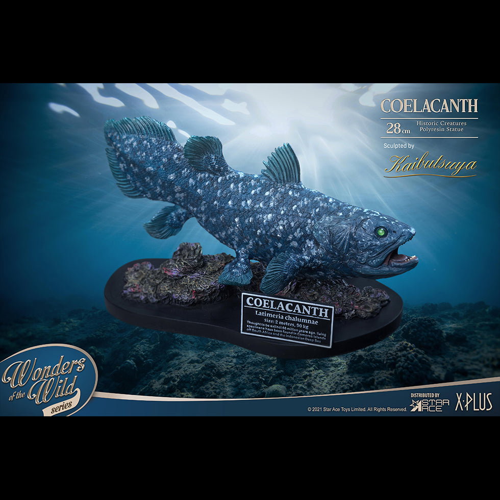 Coelacanth (NX Ver) image 5