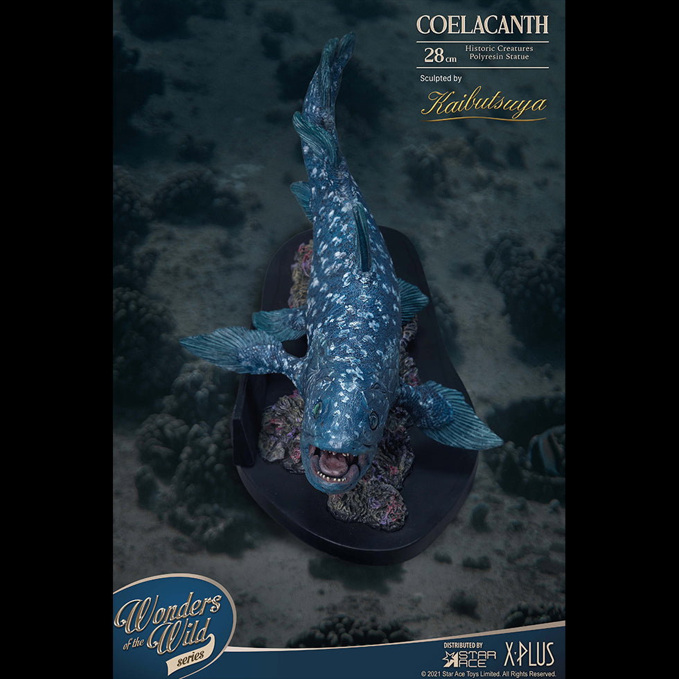 Coelacanth (NX Ver) image 8