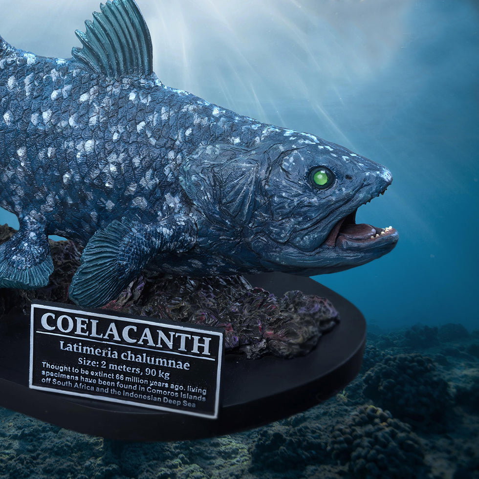 Coelacanth (DX Ver) image 1