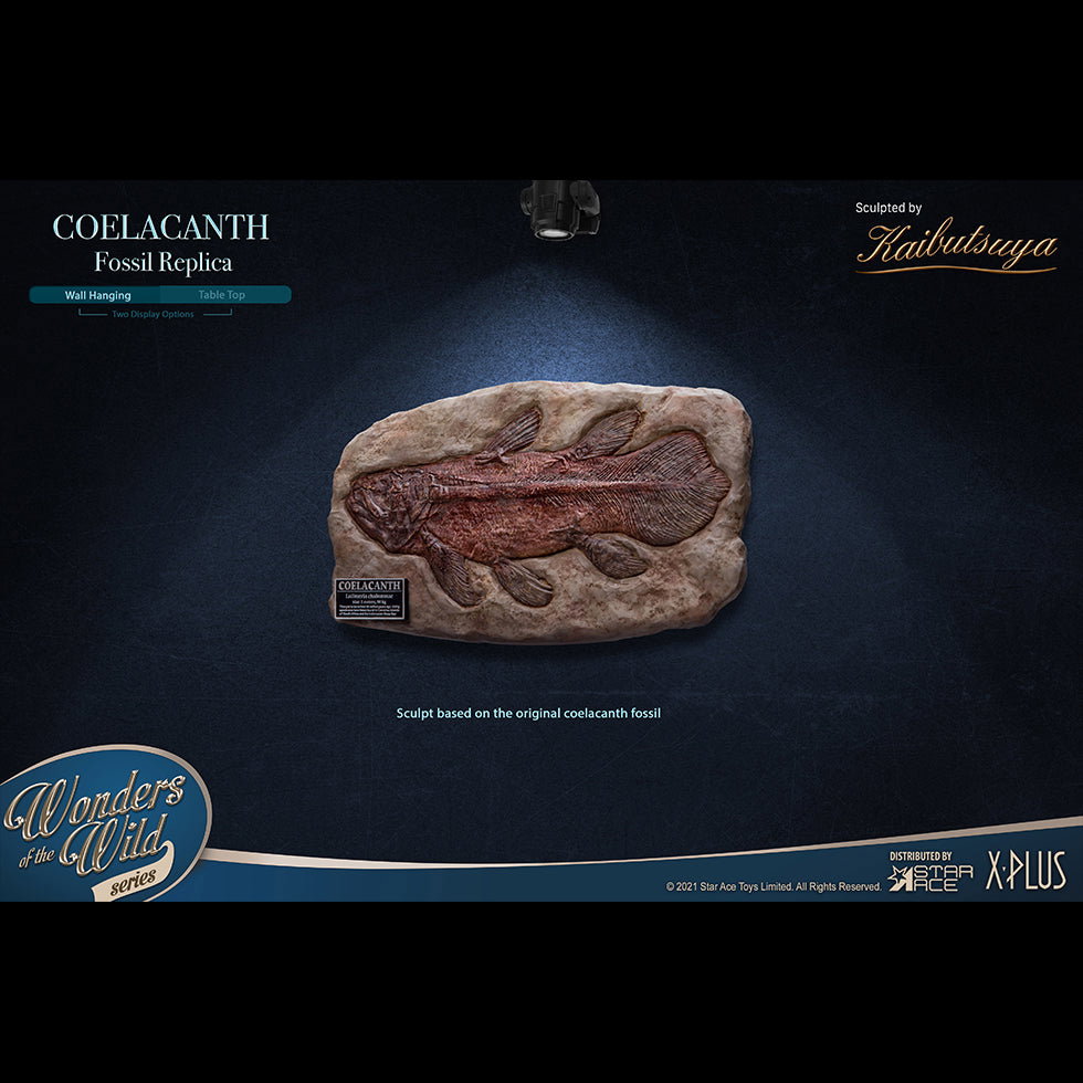 Coelacanth (DX Ver) image 2