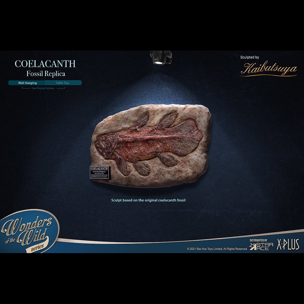 Coelacanth (DX Ver) image 3