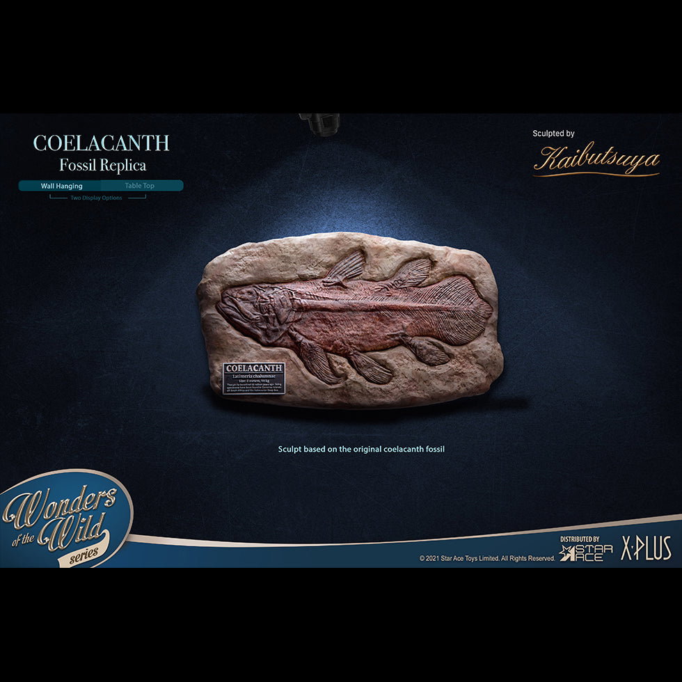 Coelacanth (DX Ver) image 5