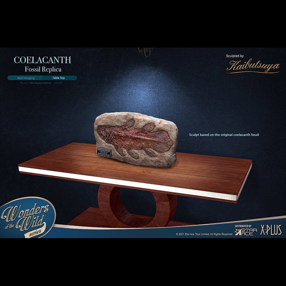 Coelacanth (DX Ver) image 6
