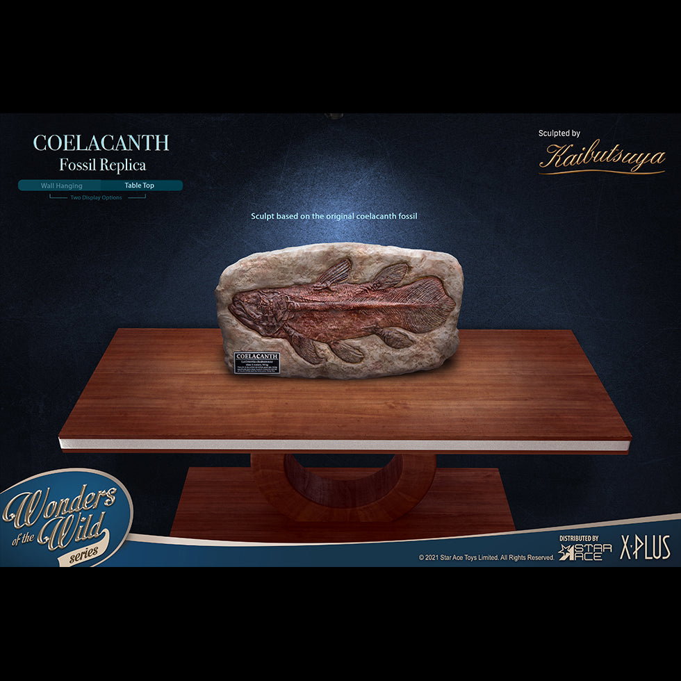 Coelacanth (Fossil) image 7