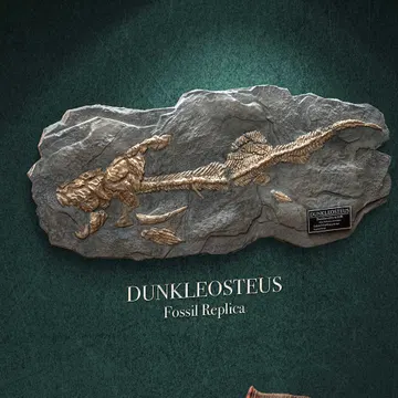 Dunkleosteus (Fossil)