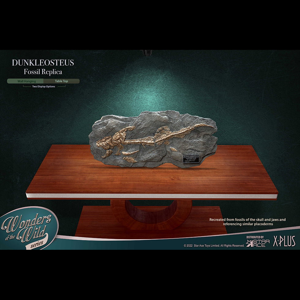 Dunkleosteus (Fossil) image 2