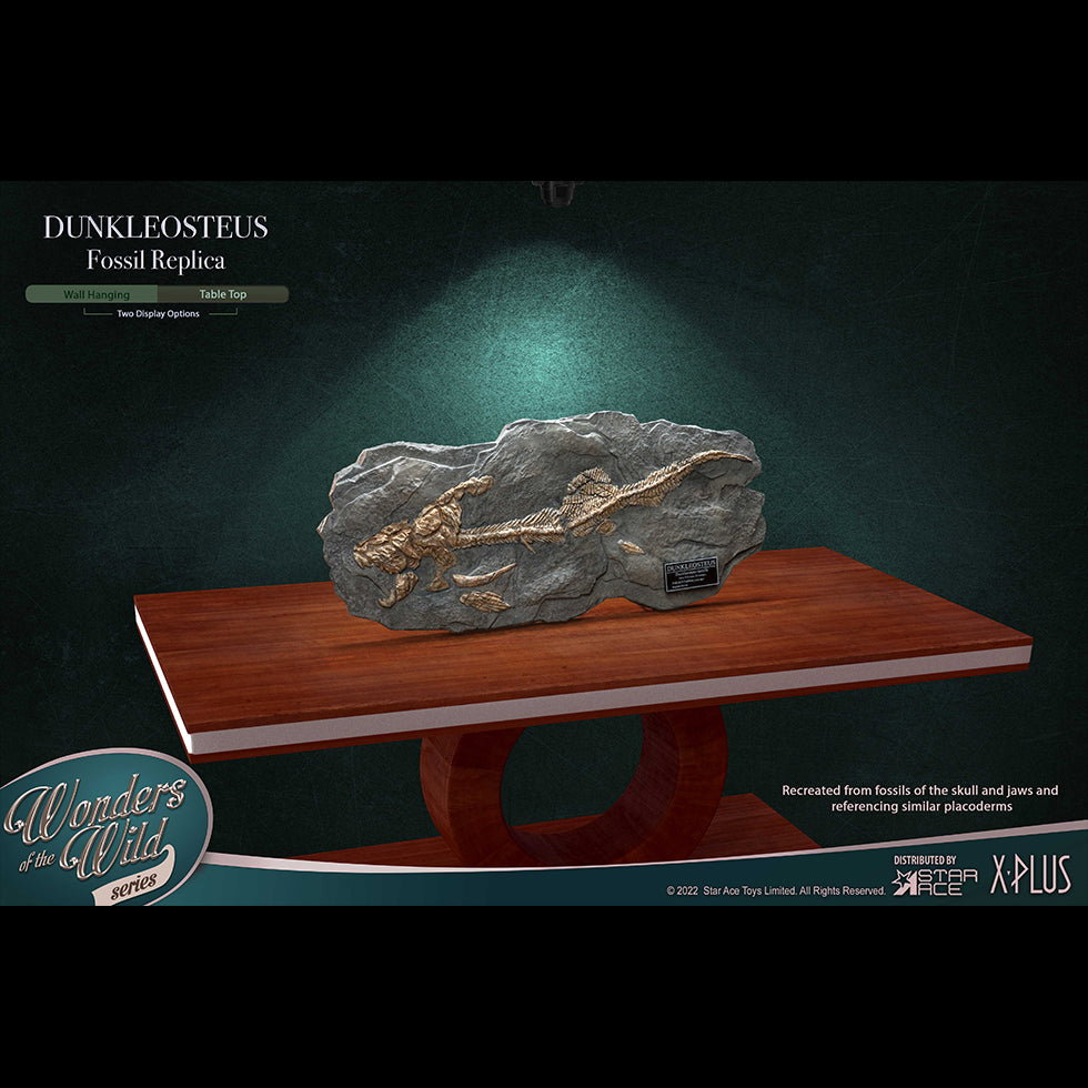Dunkleosteus (Fossil) image 3