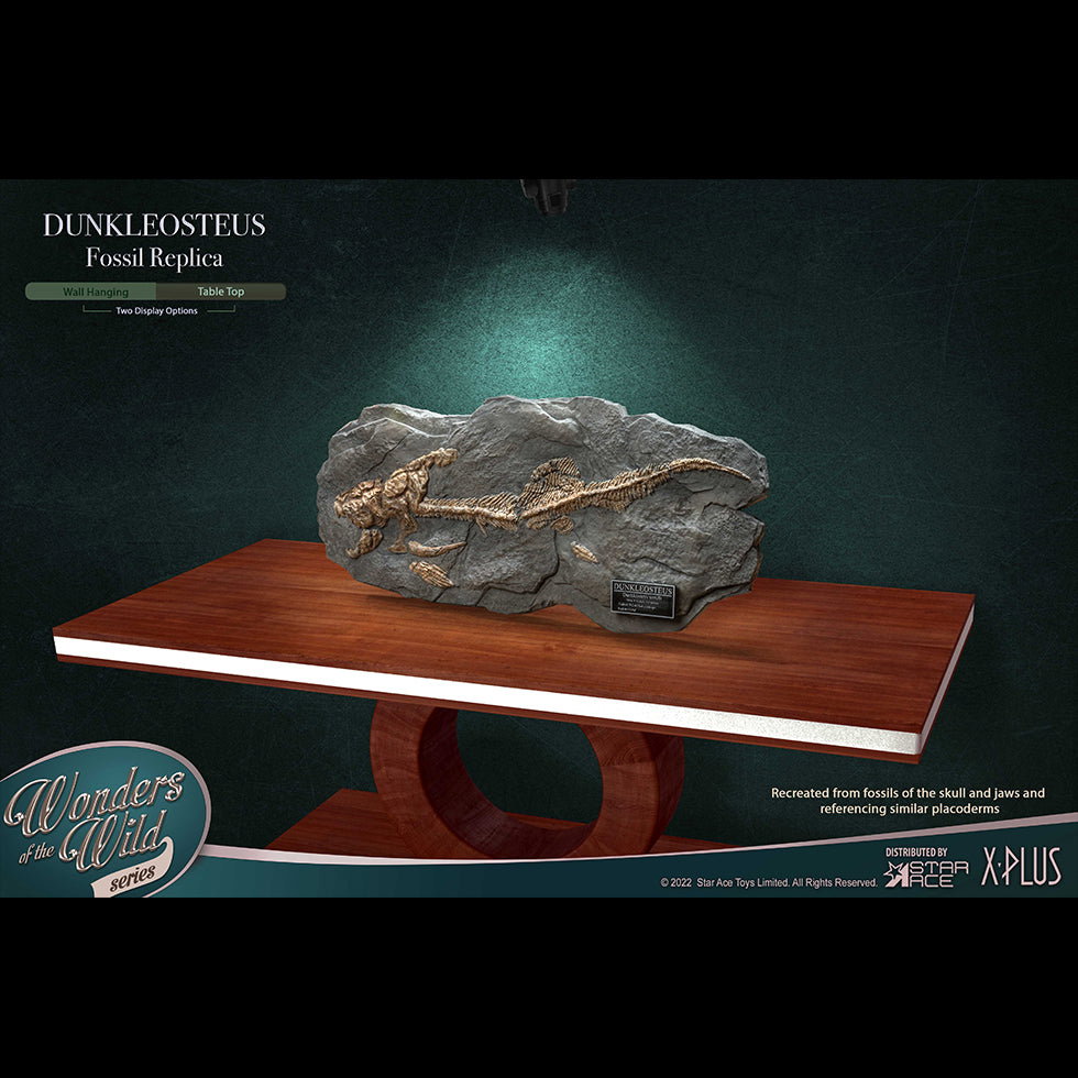Dunkleosteus (Fossil) image 4