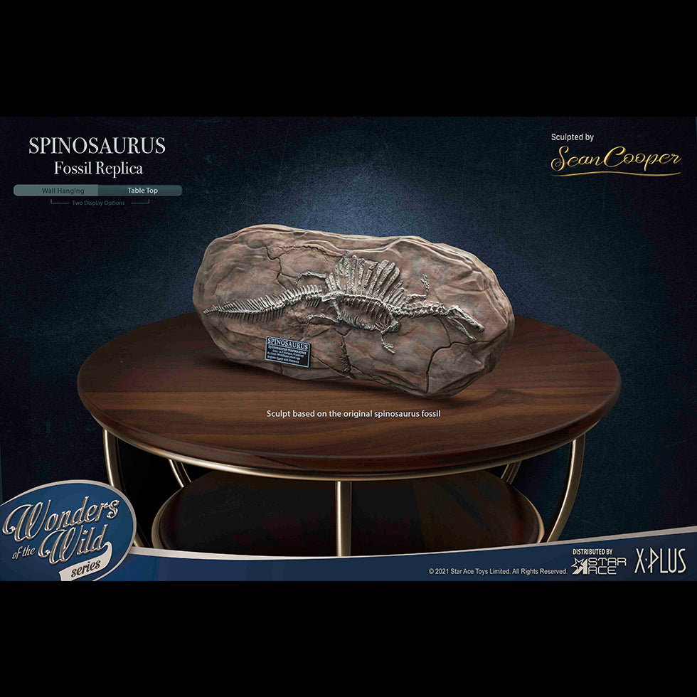 Spinosaurus (Fossil) image 2