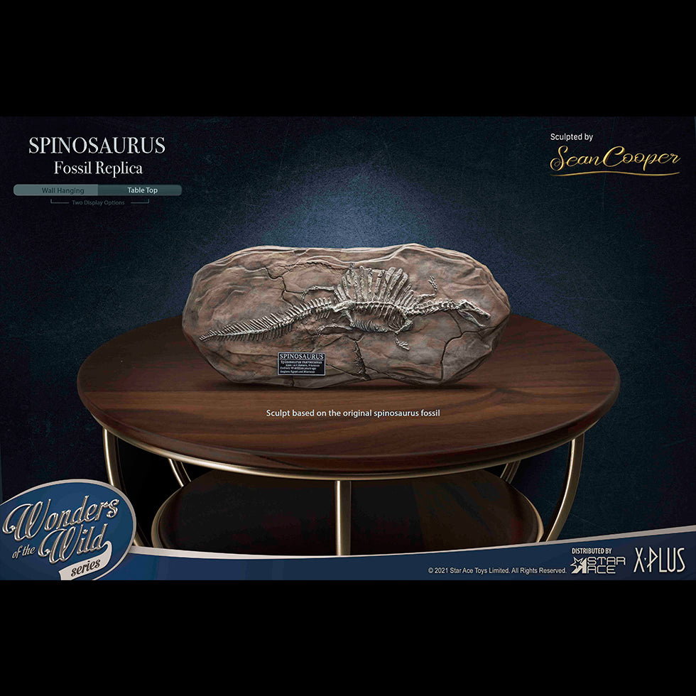 Spinosaurus (Fossil) image 4