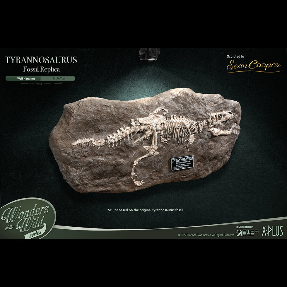 T-Rex (Fossil) image 2