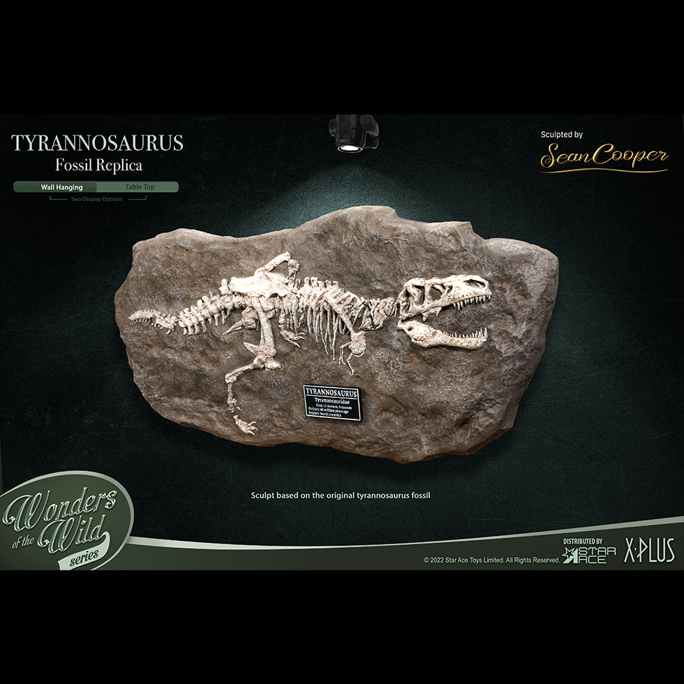 T-Rex (Fossil) image 3