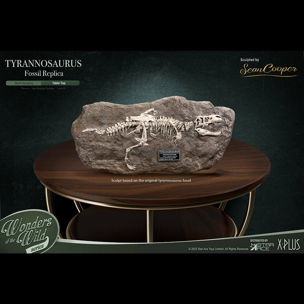 T-Rex (Fossil) image 4