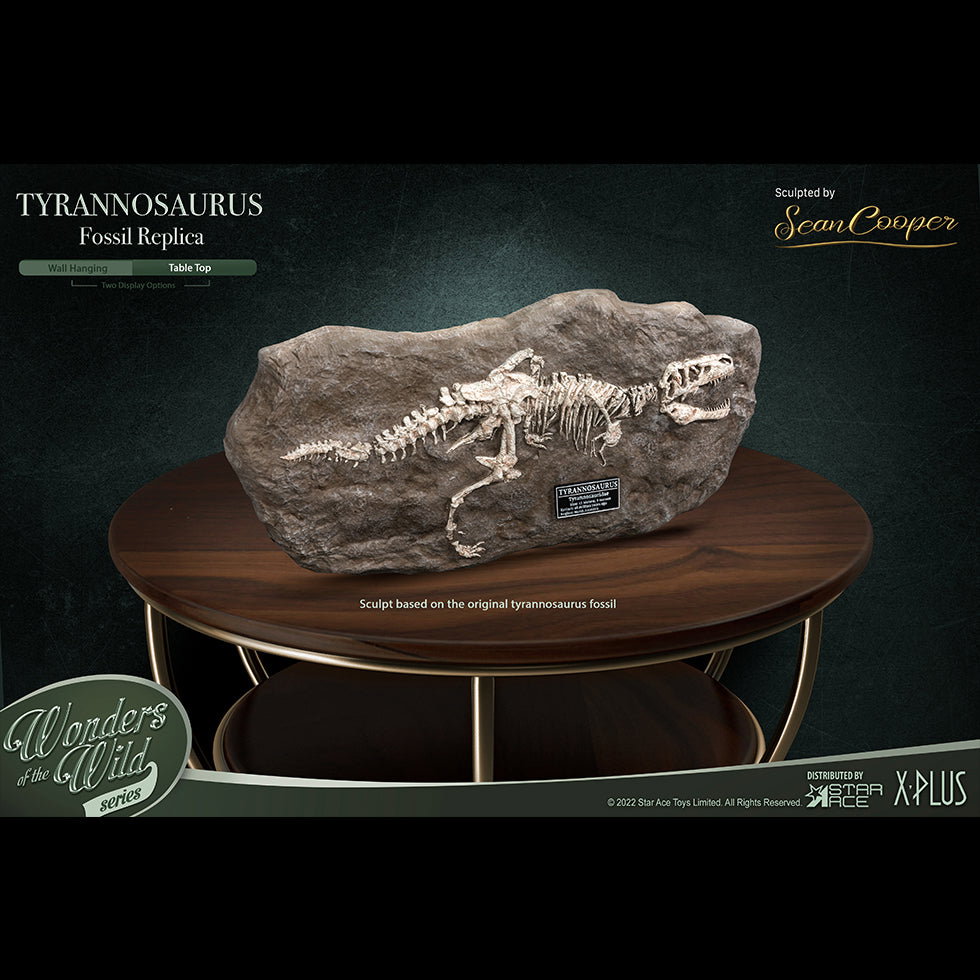 T-Rex (Fossil) image 6