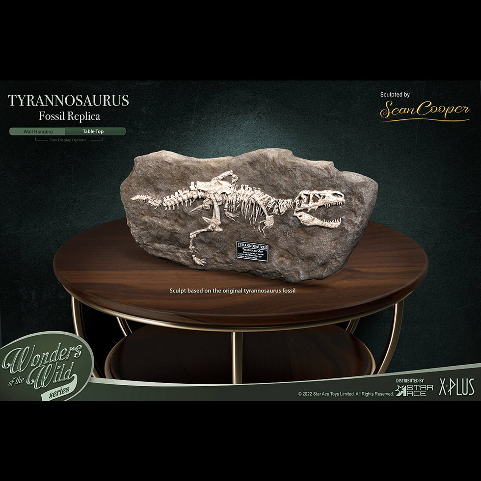 T-Rex (Fossil) image 7