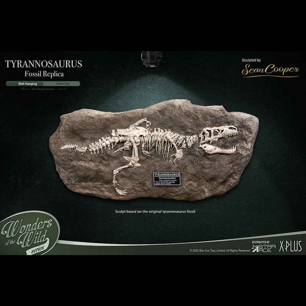 T-Rex (Fossil) image 8