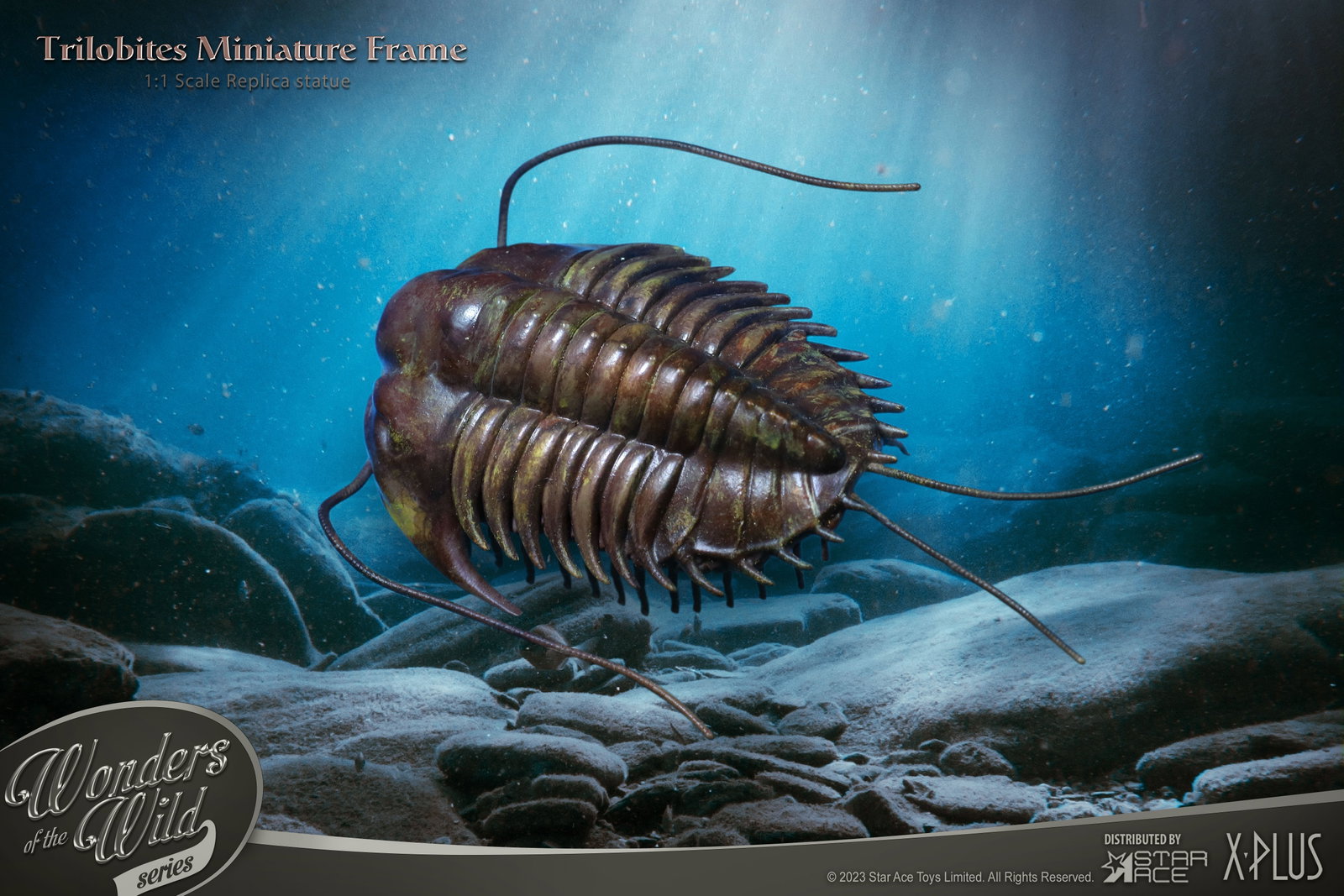 Trilobites 1:1 & Fossil (Normal ver.) image 2