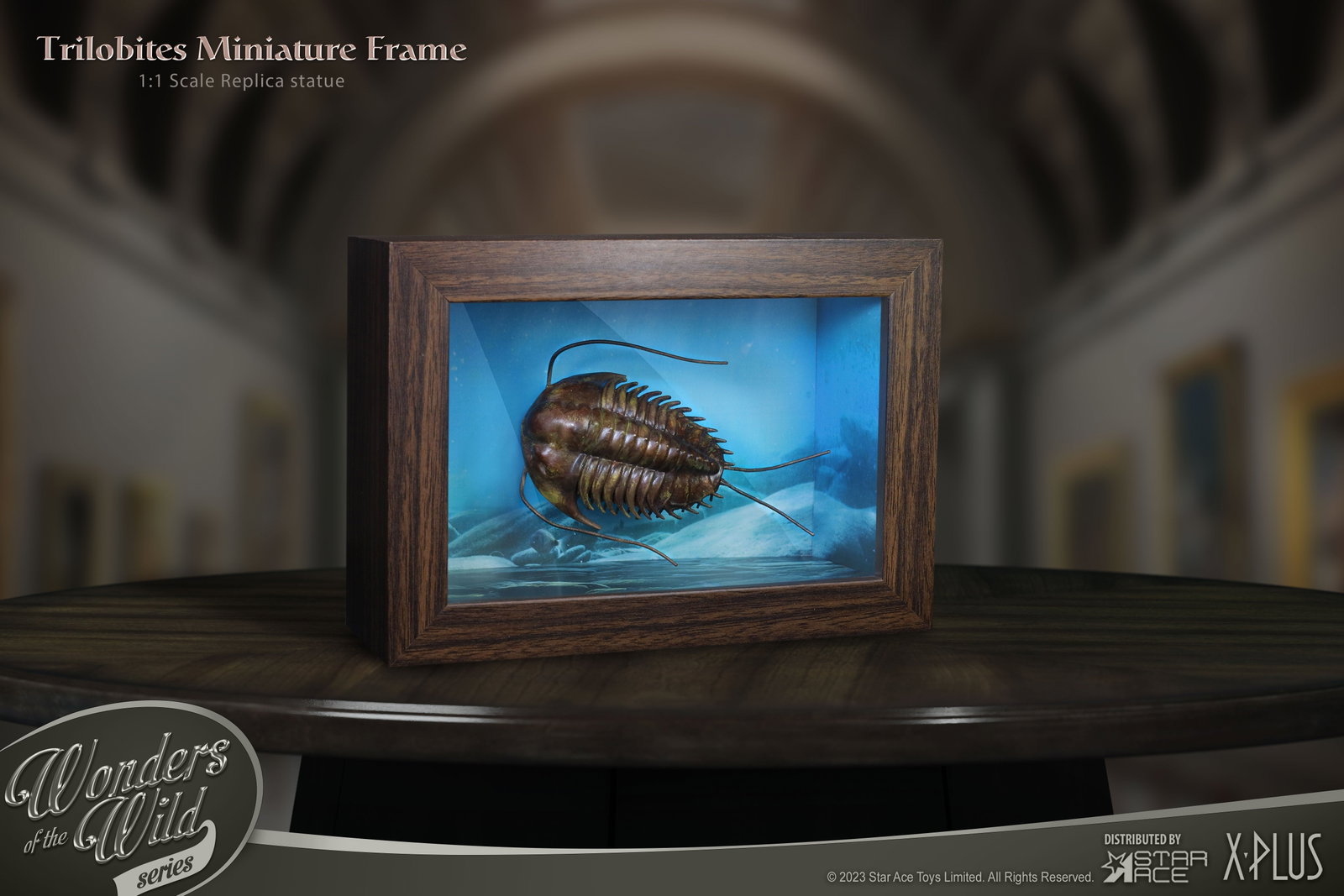 Trilobites 1:1 & Fossil (Normal ver.) image 5