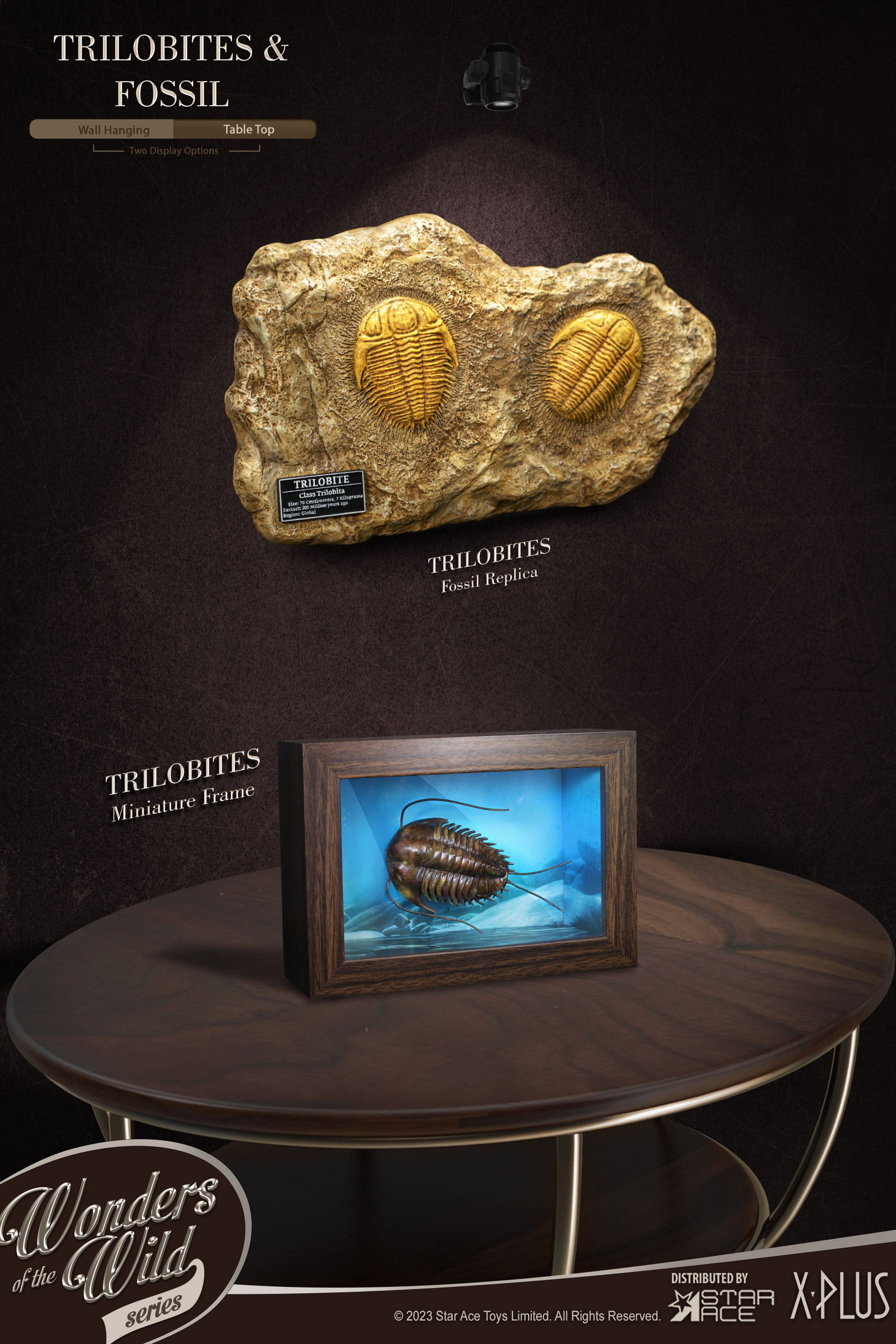 Trilobites 1:1 & Fossil (Deluxe ver.) image 6