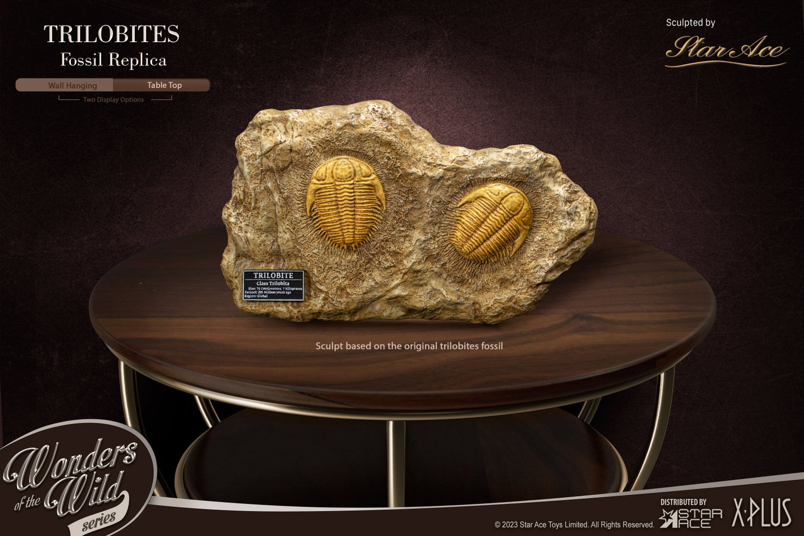 Trilobites 1:1 & Fossil (Deluxe ver.) image 7