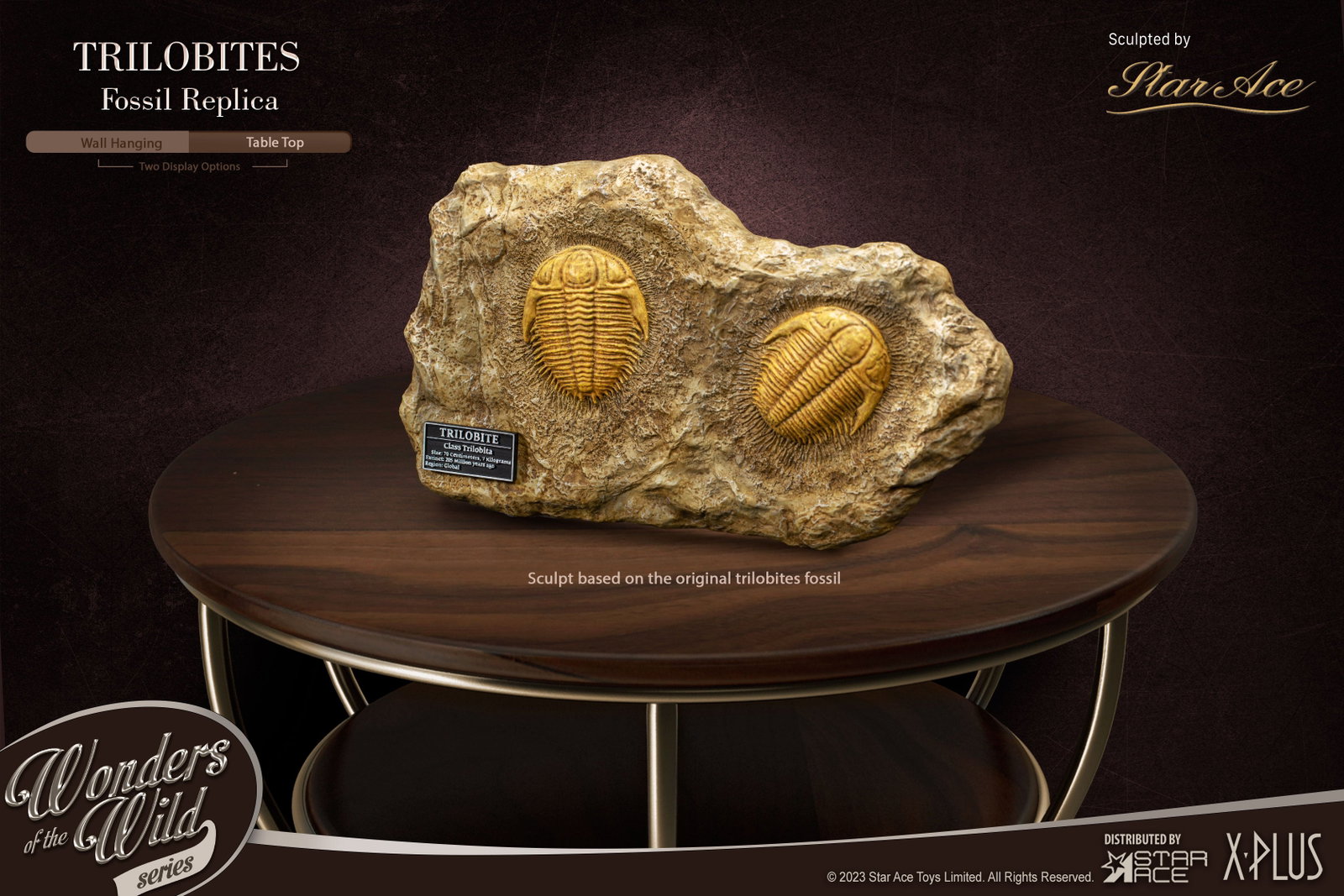 Trilobites 1:1 & Fossil (Deluxe ver.) image 8