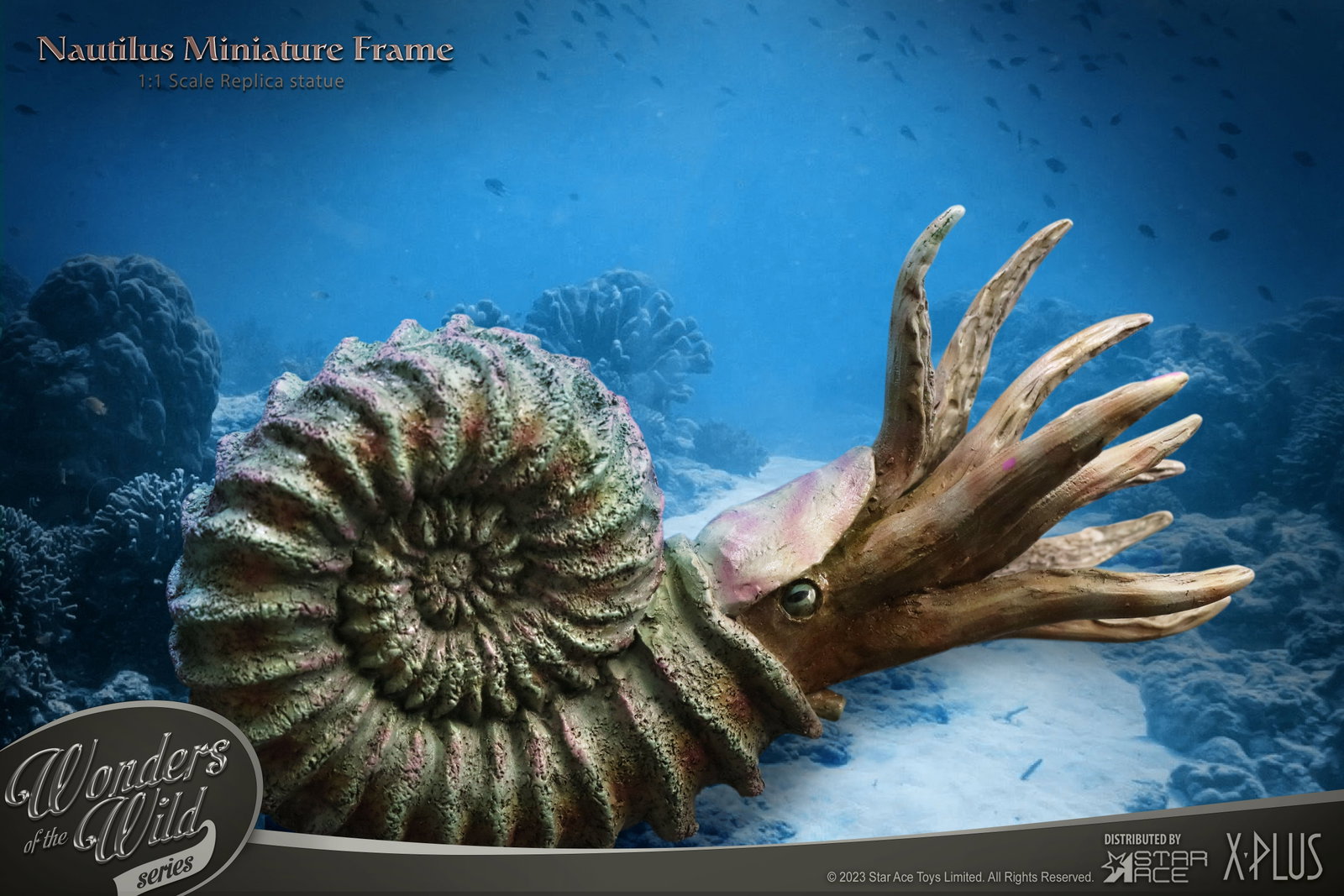 Nautilus 1:1 Frame (Normal ver.) image 3