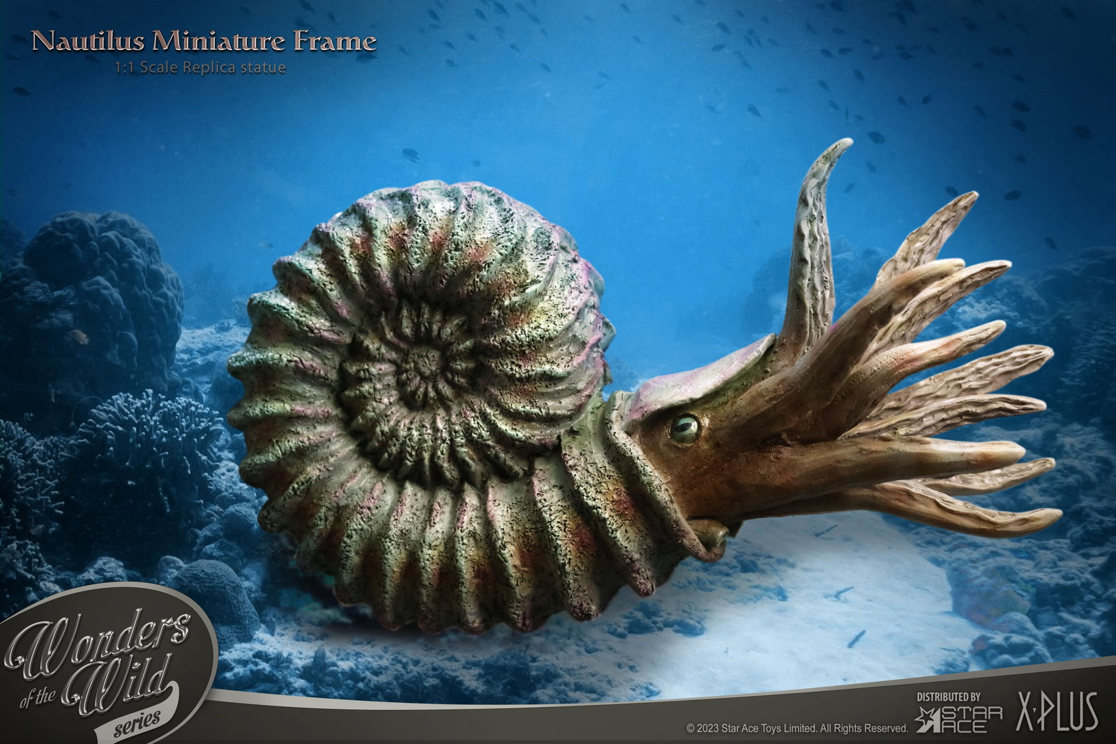 Nautilus 1:1 Frame (Normal ver.) image 4