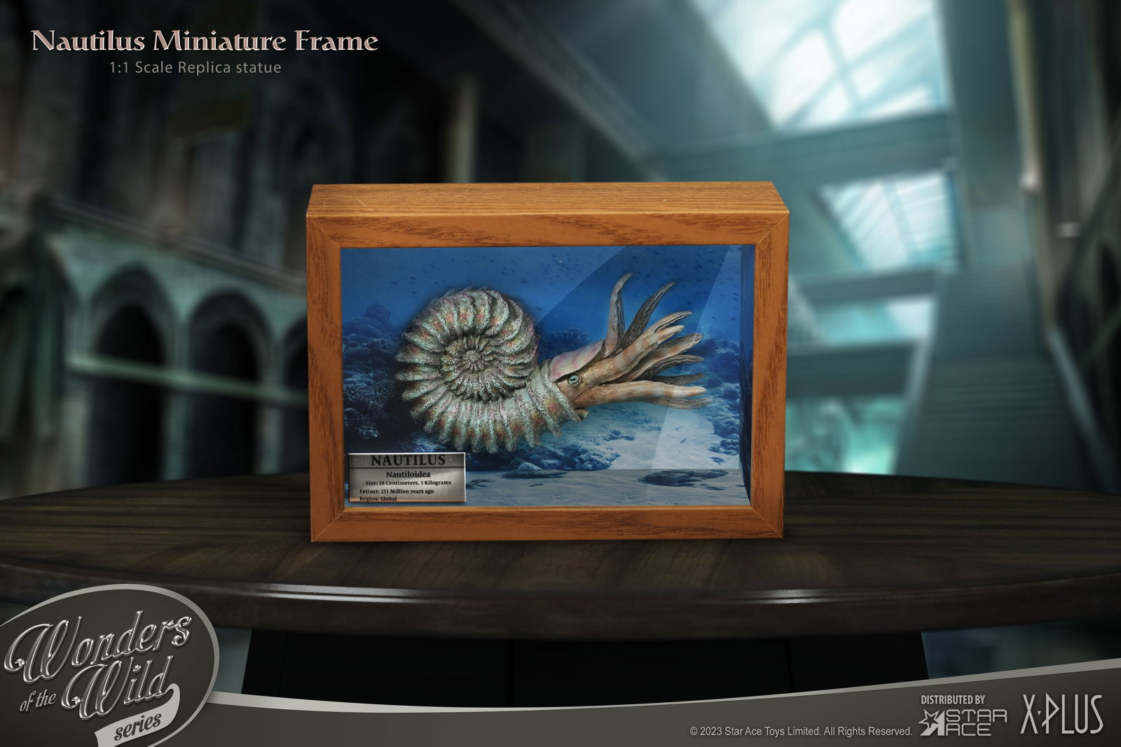 Nautilus 1:1 Frame (Normal ver.) image 6