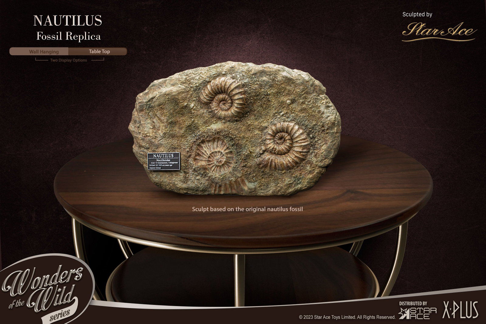 Nautilus 1:1 Frame & Fossil (Deluxe ver.) image 10