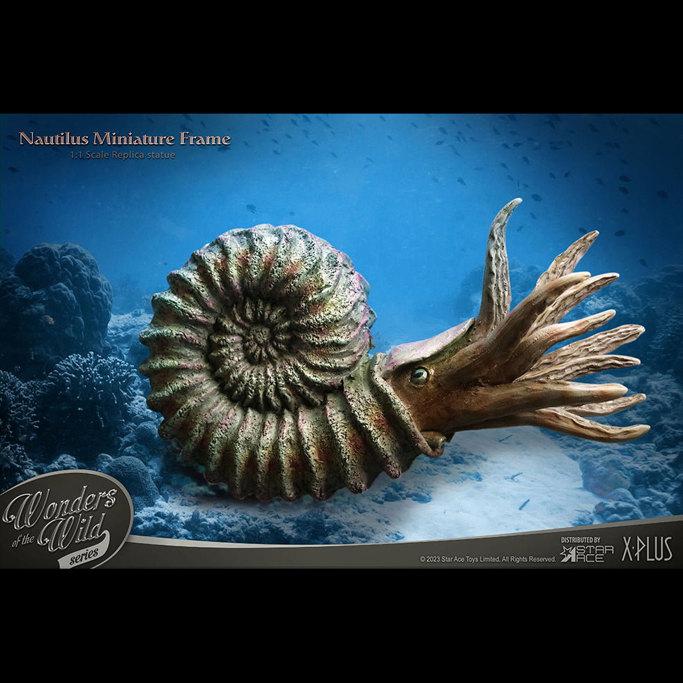 Nautilus 1:1 Frame & Fossil (Deluxe ver.) image 1