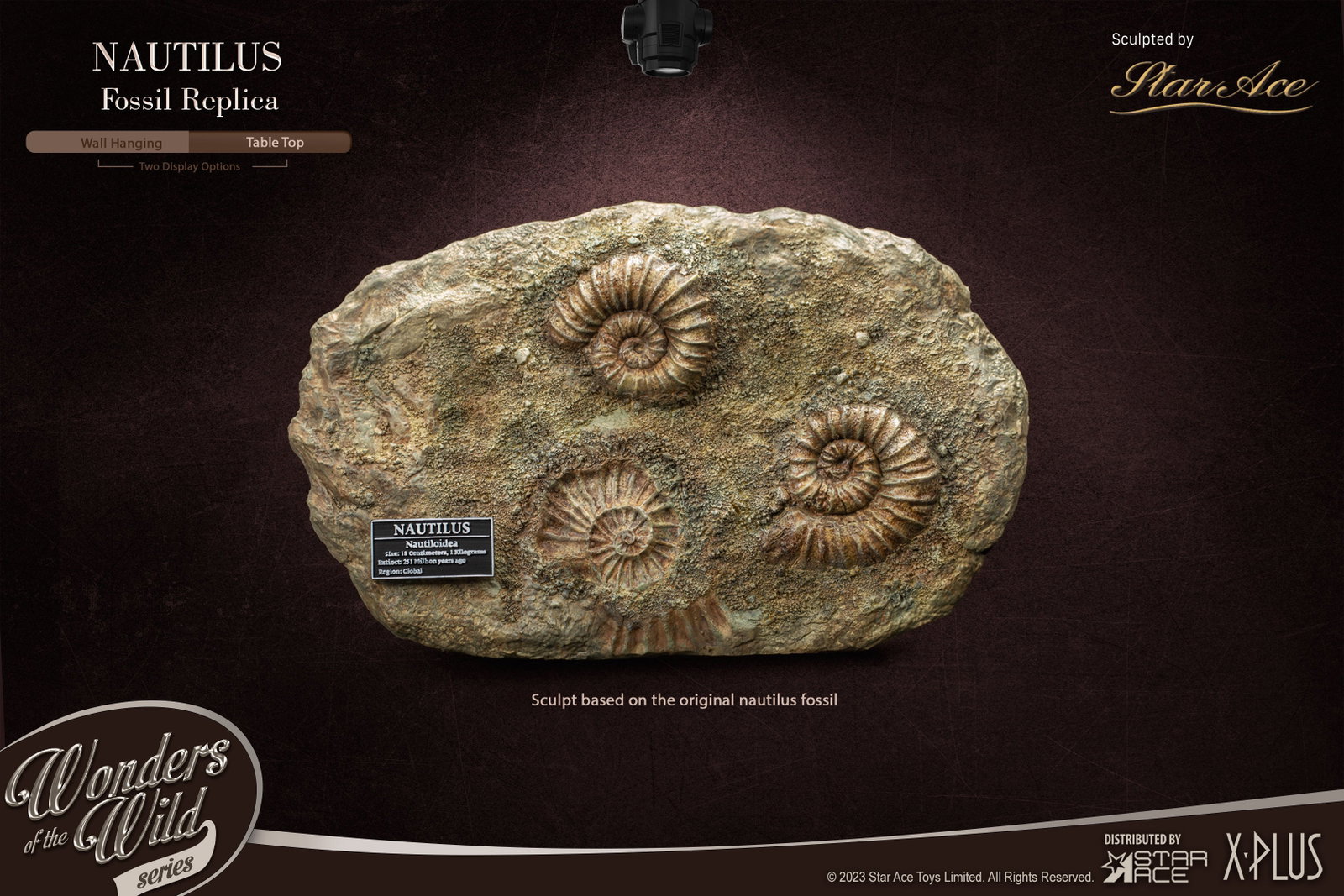Nautilus 1:1 Frame & Fossil (Deluxe ver.) image 7