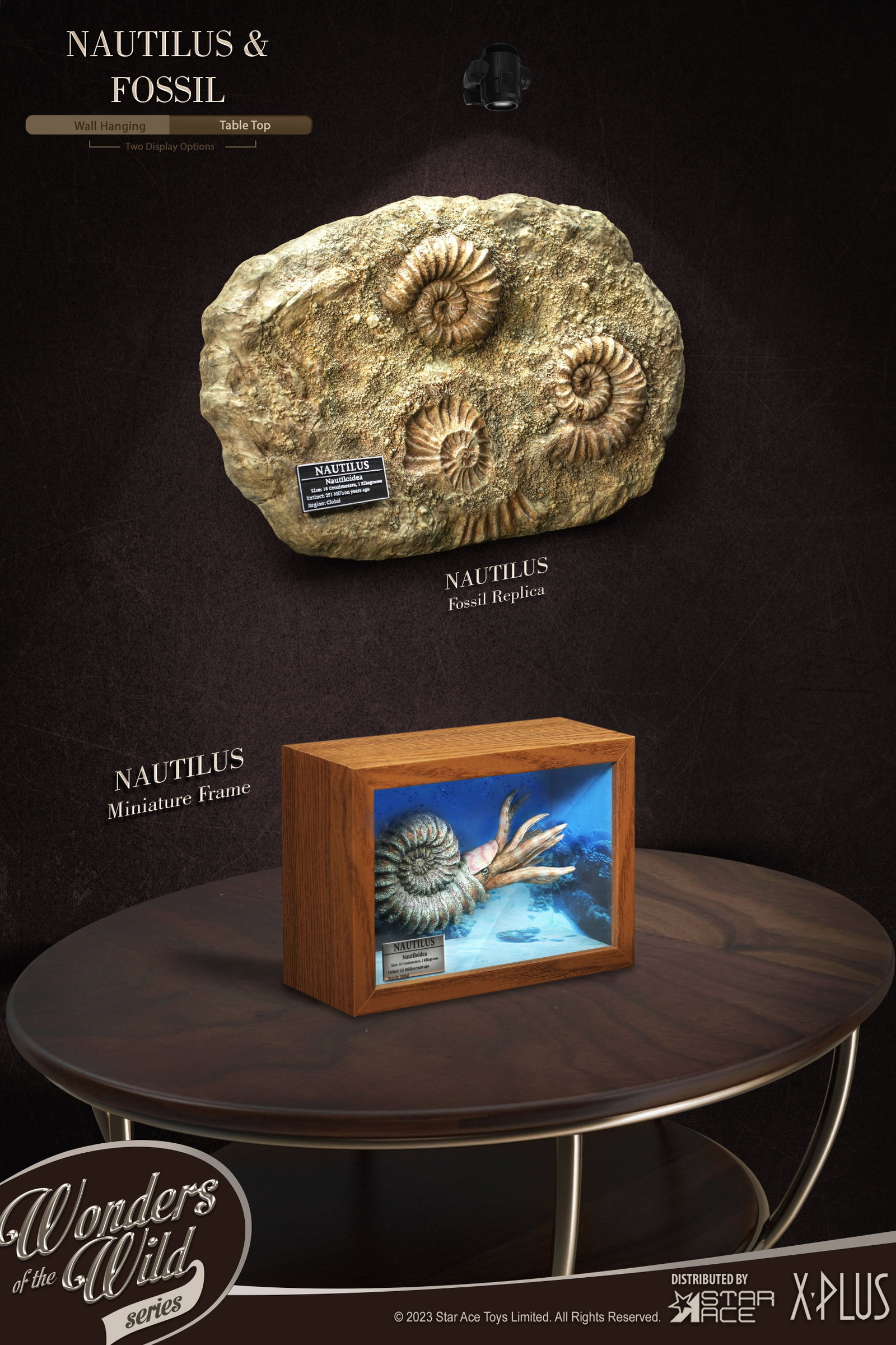 Nautilus 1:1 Frame & Fossil (Deluxe ver.) image 8
